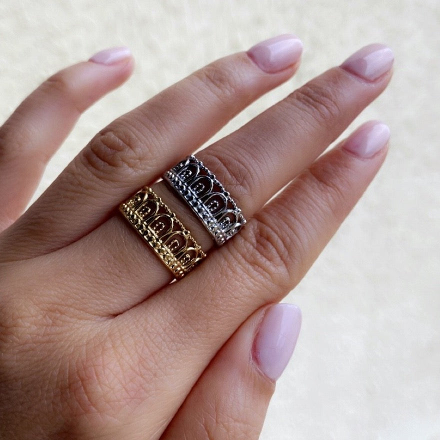 <transcy>MINA ring</transcy>